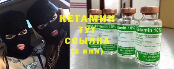 молекула духа Богданович