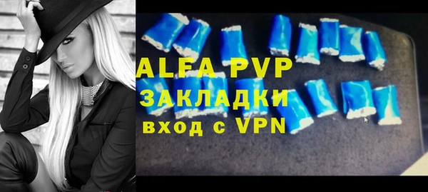 ECSTASY Богородицк