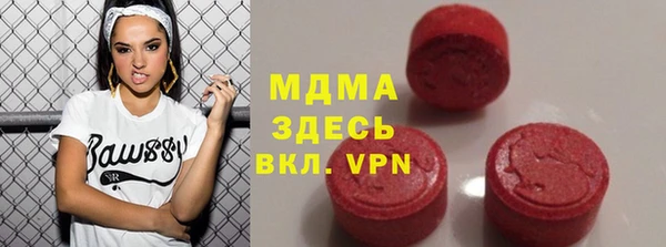 молекула духа Богданович