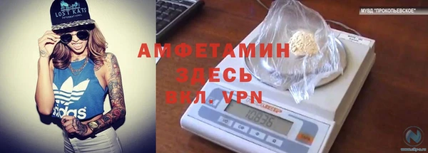 молекула духа Богданович