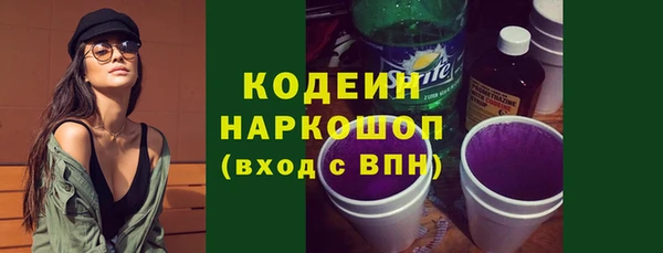 молекула духа Богданович