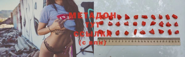 молекула духа Богданович