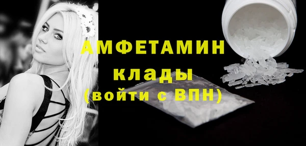 молекула духа Богданович