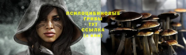 ECSTASY Богородицк