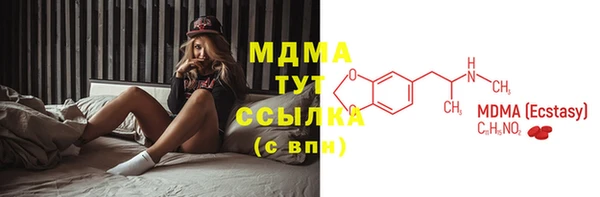 молекула духа Богданович