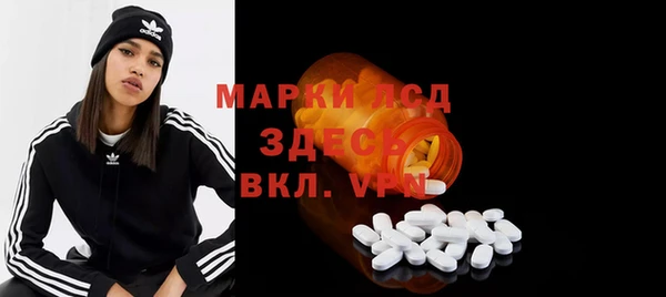 ECSTASY Богородицк