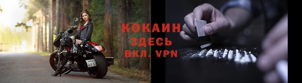 молекула духа Богданович