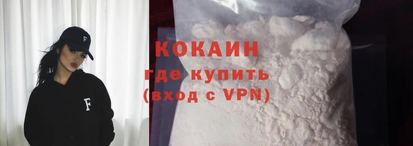 ECSTASY Богородицк
