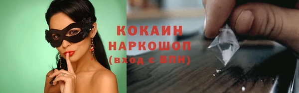 молекула духа Богданович