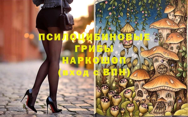 ECSTASY Богородицк