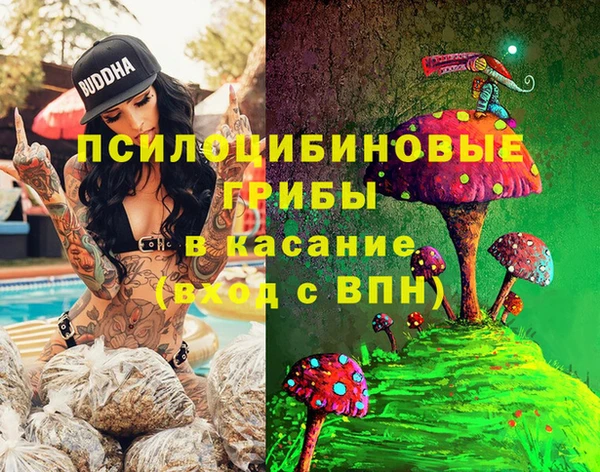 ECSTASY Богородицк