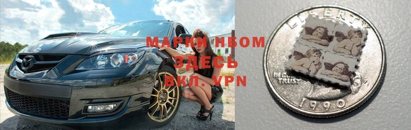 молекула духа Богданович