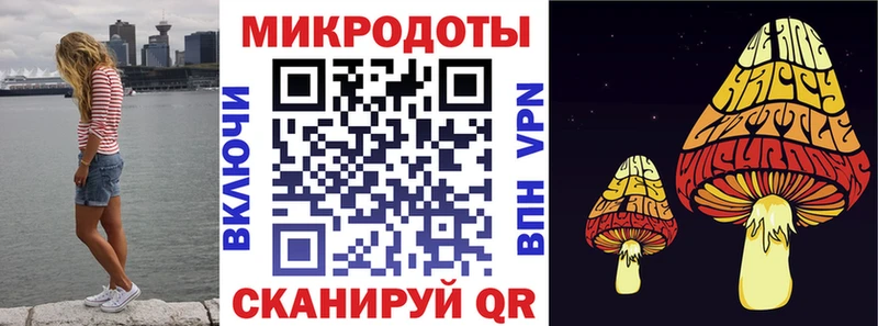 Галлюциногенные грибы Psilocybine cubensis  Шахты 